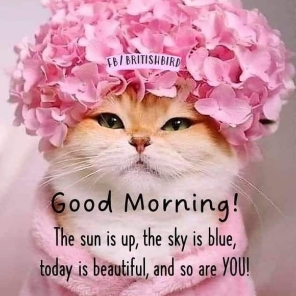 HAPPY BIRTHDAY JAXIJAY 🎂 - Picture 6 of 9